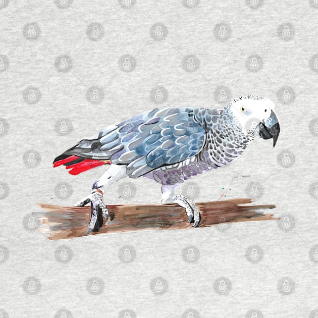 African Grey Parrot 2 by lucafon18